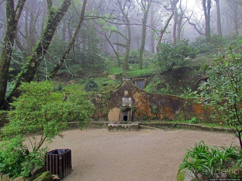 Мистерия дворцового парка