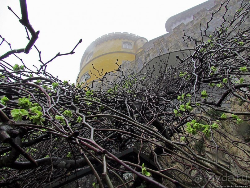 Мистерия дворцового парка