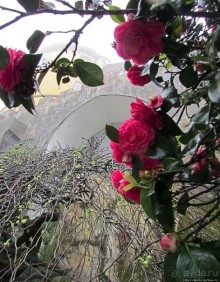 Мистерия дворцового парка