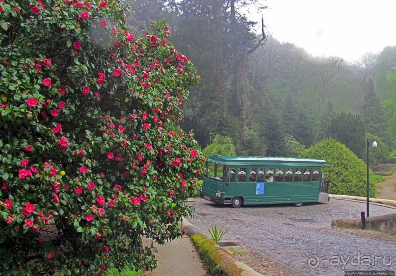 Мистерия дворцового парка