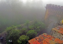 Мистерия дворцового парка