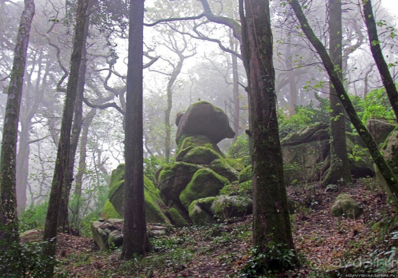 Мистерия дворцового парка