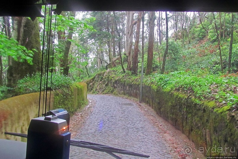 Мистерия дворцового парка