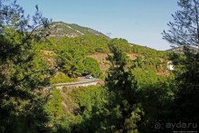 Диплохифиро — уникальный двойной мост через ущелье Курис