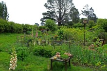 Хоббит — Он ... мог бы здесь жить