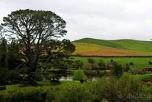 Хоббит — Он ... мог бы здесь жить