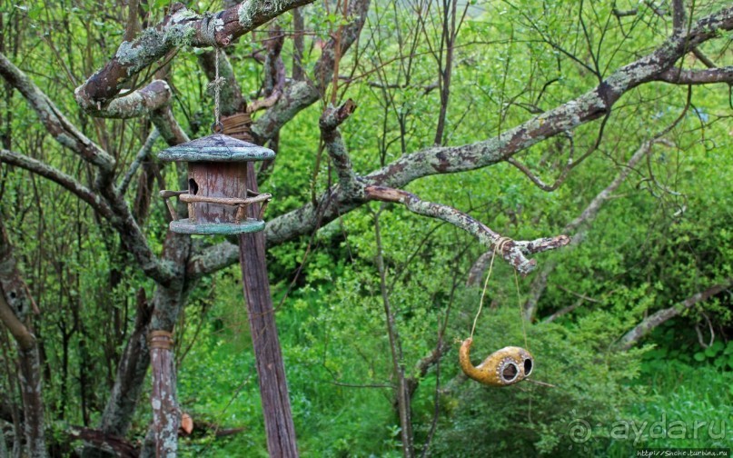 Хоббит — Он ... мог бы здесь жить