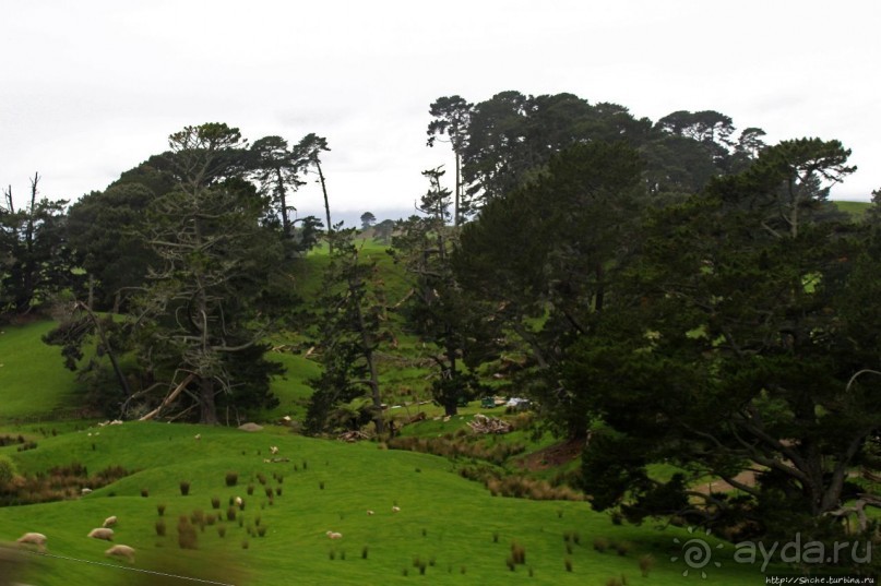 Хоббит — Он ... мог бы здесь жить