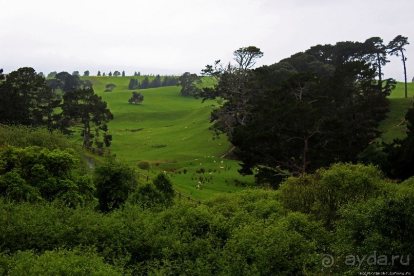 Хоббит — Он ... мог бы здесь жить
