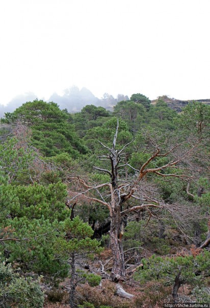 Дорога в облаках, или первый "облом" в Андорре