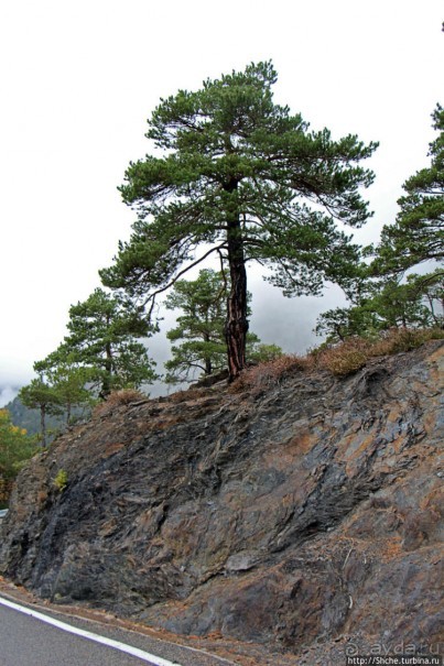Дорога в облаках, или первый "облом" в Андорре