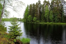 Деревянные церкви Финляндии. Петяйявеси (объект ЮНЕСКО №584)