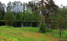 Деревянные церкви Финляндии. Петяйявеси (объект ЮНЕСКО №584)