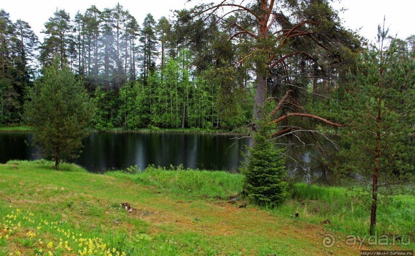 Деревянные церкви Финляндии. Петяйявеси (объект ЮНЕСКО №584)