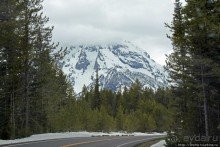 Teton Park Road - виды в лобовое стекло