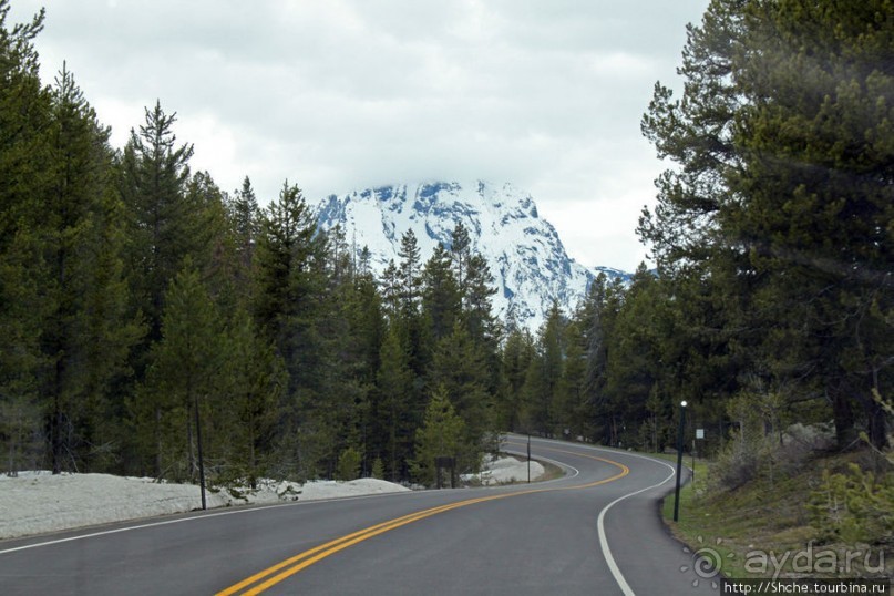 Teton Park Road - виды в лобовое стекло