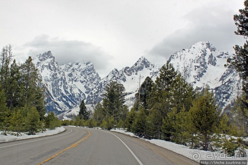 Teton Park Road - виды в лобовое стекло