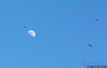 Заход солнца между Африкой и Испанией в Великобритании