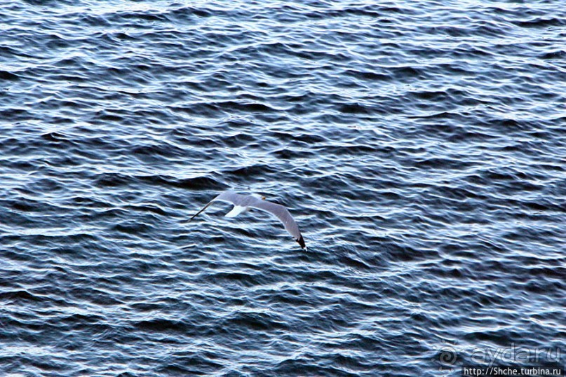 Заход солнца между Африкой и Испанией в Великобритании