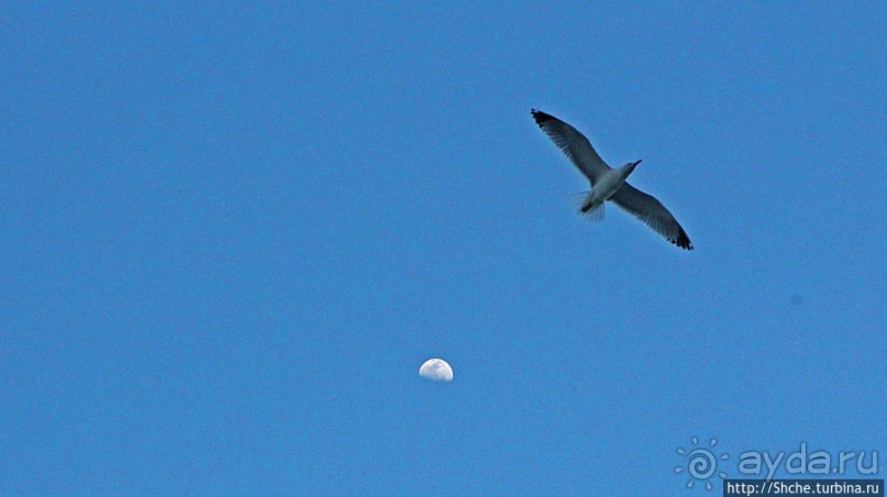 Заход солнца между Африкой и Испанией в Великобритании