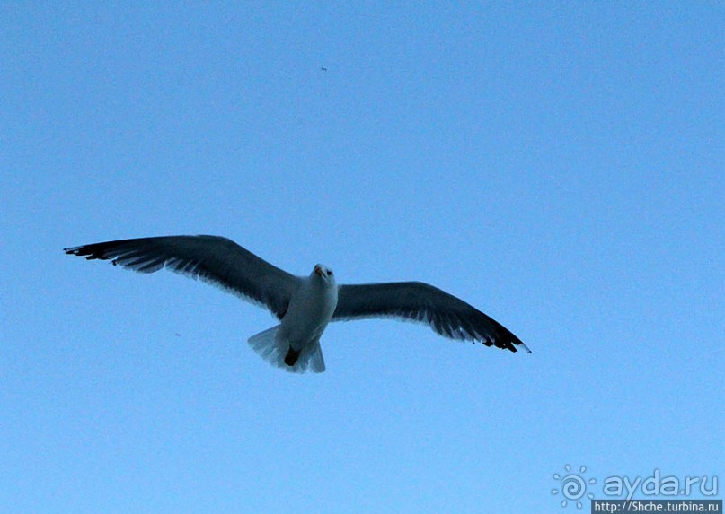 Заход солнца между Африкой и Испанией в Великобритании