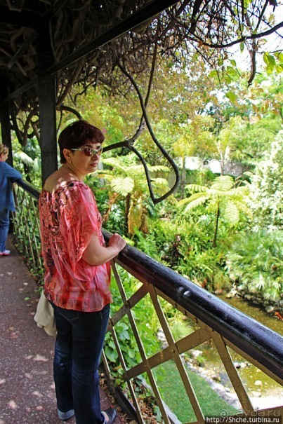 Прогулка по аллеям Ботанического сада Гибралтара