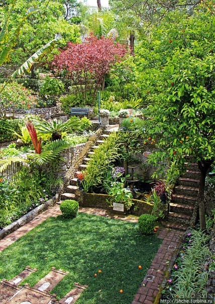 Прогулка по аллеям Ботанического сада Гибралтара