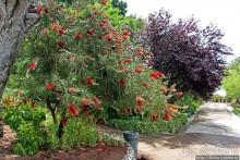 Прогулка по аллеям Ботанического сада Гибралтара