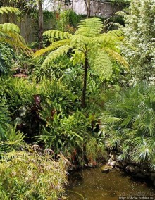 Прогулка по аллеям Ботанического сада Гибралтара