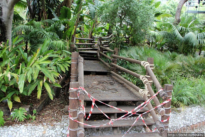 Прогулка по аллеям Ботанического сада Гибралтара