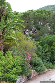 Прогулка по аллеям Ботанического сада Гибралтара