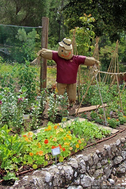 Прогулка по аллеям Ботанического сада Гибралтара