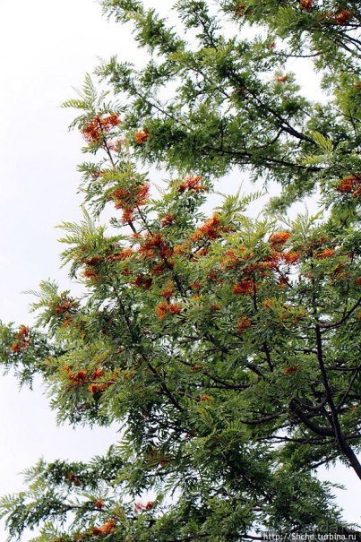 Прогулка по аллеям Ботанического сада Гибралтара