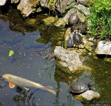 Прогулка по аллеям Ботанического сада Гибралтара