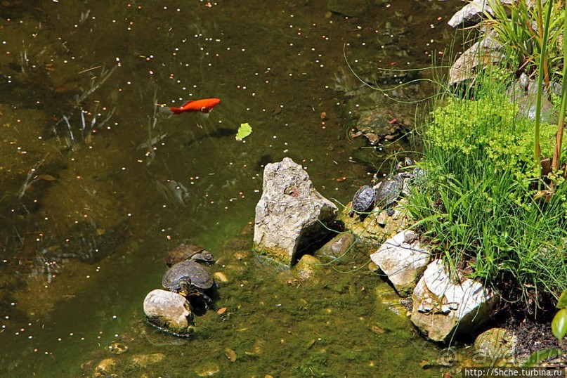 Прогулка по аллеям Ботанического сада Гибралтара