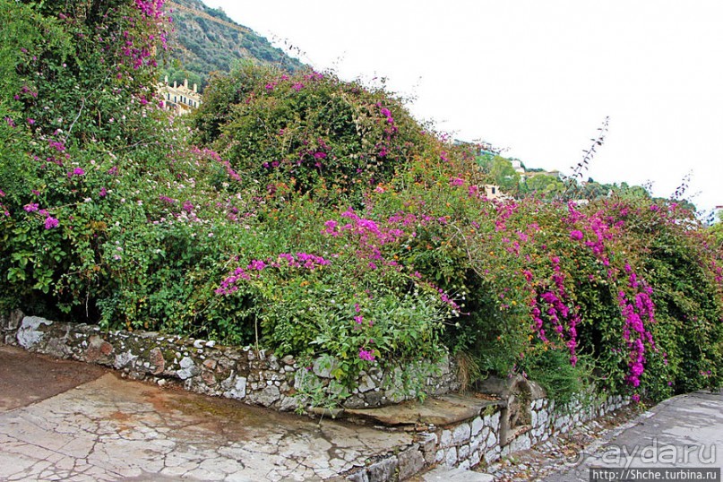 Прогулка по аллеям Ботанического сада Гибралтара