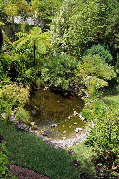 Прогулка по аллеям Ботанического сада Гибралтара