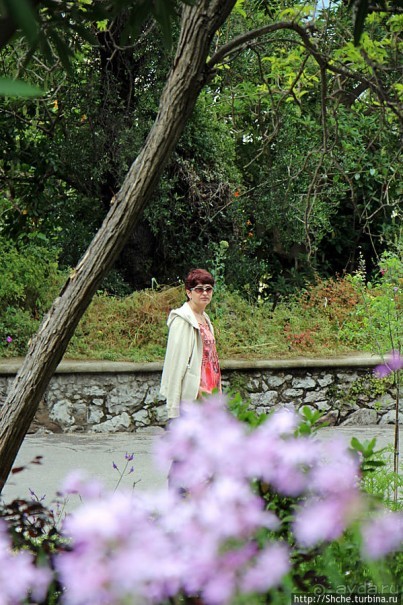 Прогулка по аллеям Ботанического сада Гибралтара