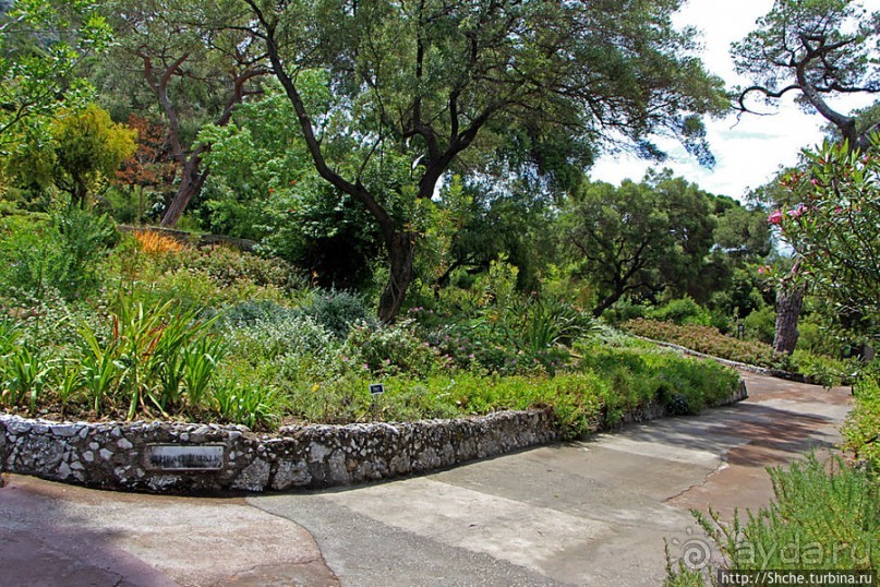 Прогулка по аллеям Ботанического сада Гибралтара