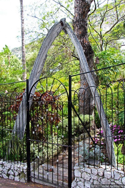 Прогулка по аллеям Ботанического сада Гибралтара