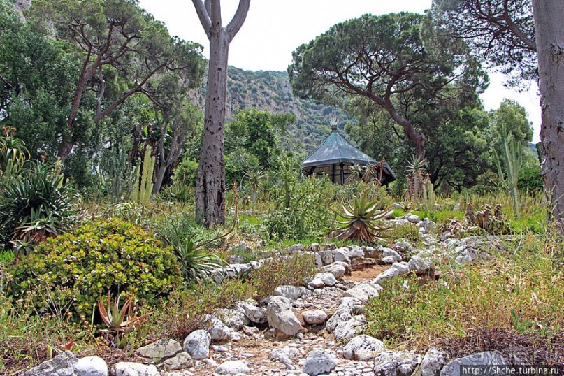 Прогулка по аллеям Ботанического сада Гибралтара