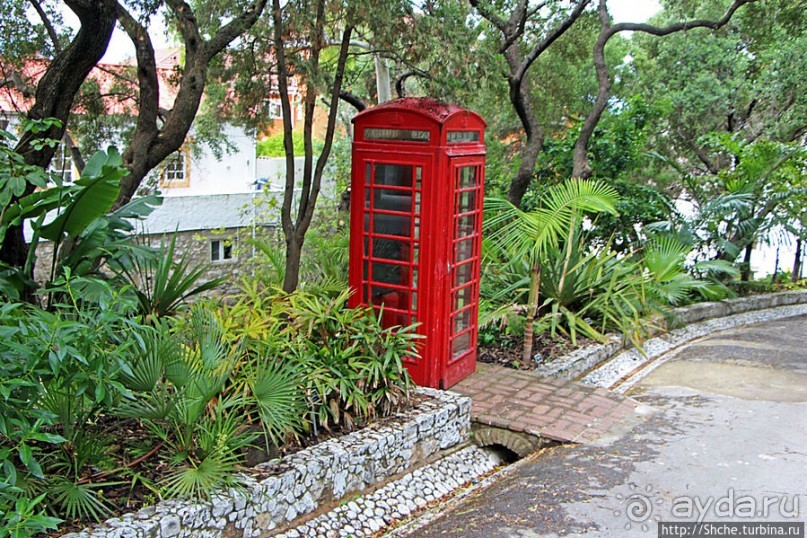 Прогулка по аллеям Ботанического сада Гибралтара