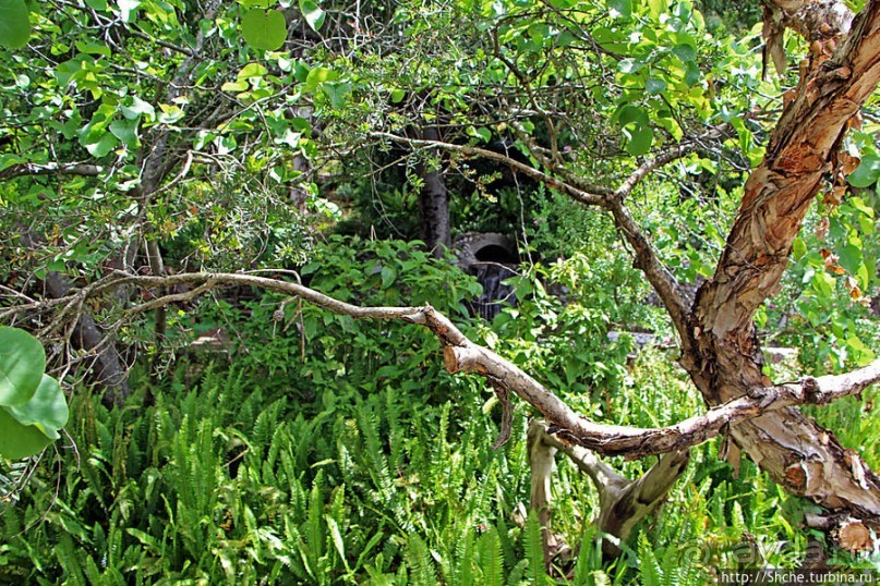Прогулка по аллеям Ботанического сада Гибралтара