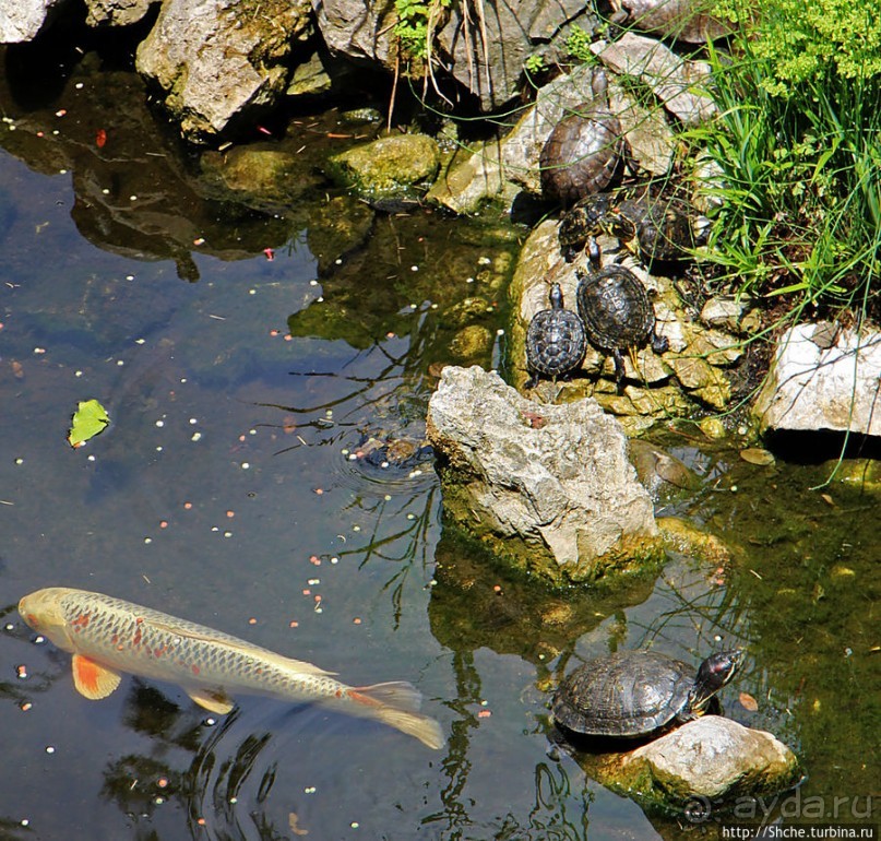 Прогулка по аллеям Ботанического сада Гибралтара