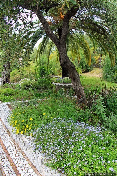 Прогулка по аллеям Ботанического сада Гибралтара
