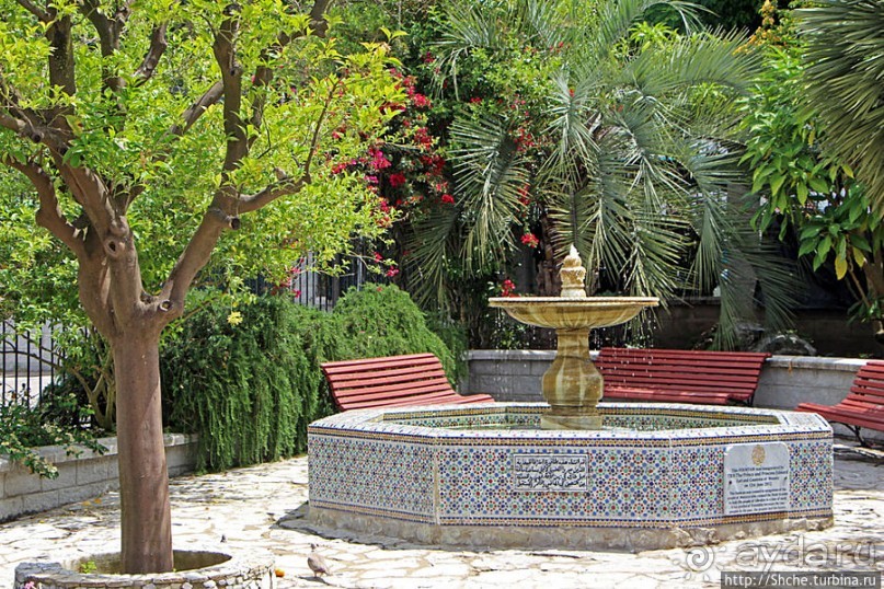 Прогулка по аллеям Ботанического сада Гибралтара