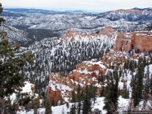 Bridge Canyon — здесь на скалах растут деревья