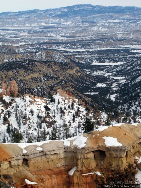 Bridge Canyon — здесь на скалах растут деревья
