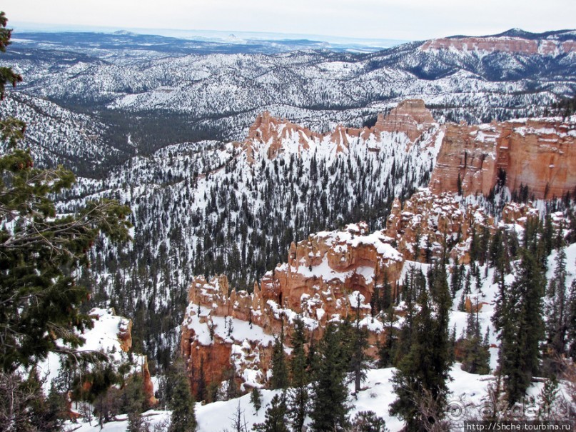 Bridge Canyon — здесь на скалах растут деревья