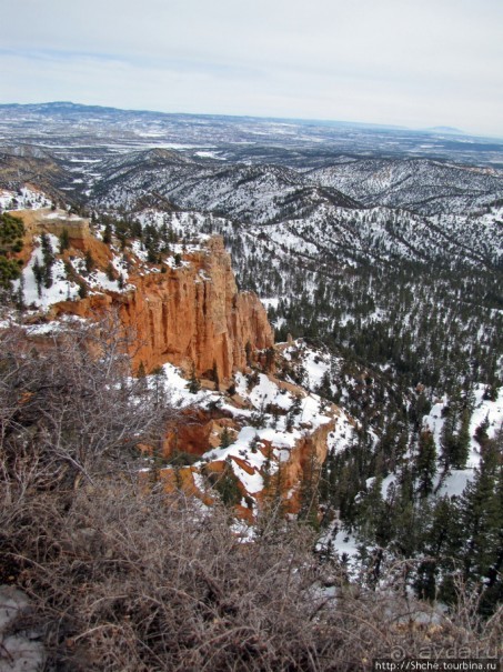 Bridge Canyon — здесь на скалах растут деревья